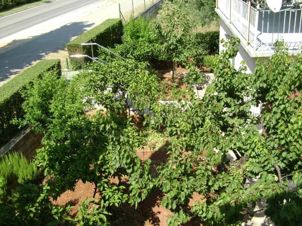 Apartmani Tome Zadar Exterior foto